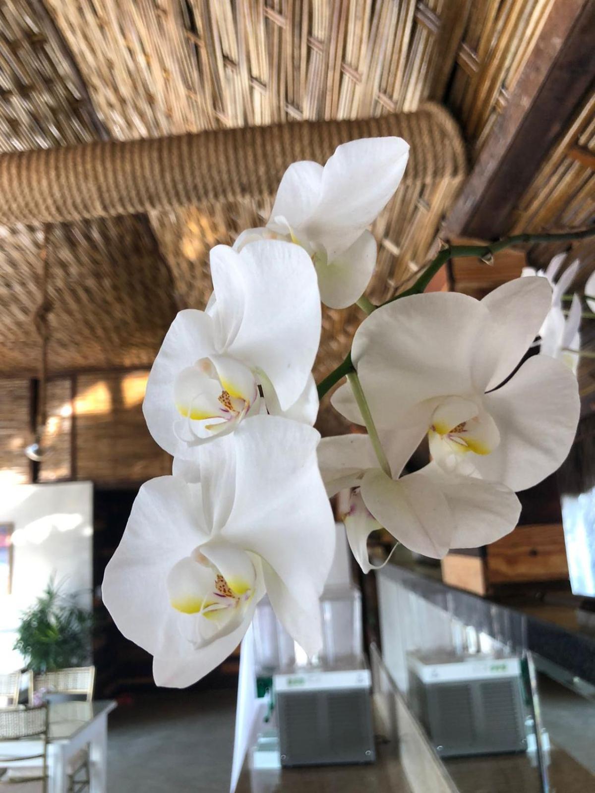 Hotel Morro de São Paulo Dış mekan fotoğraf