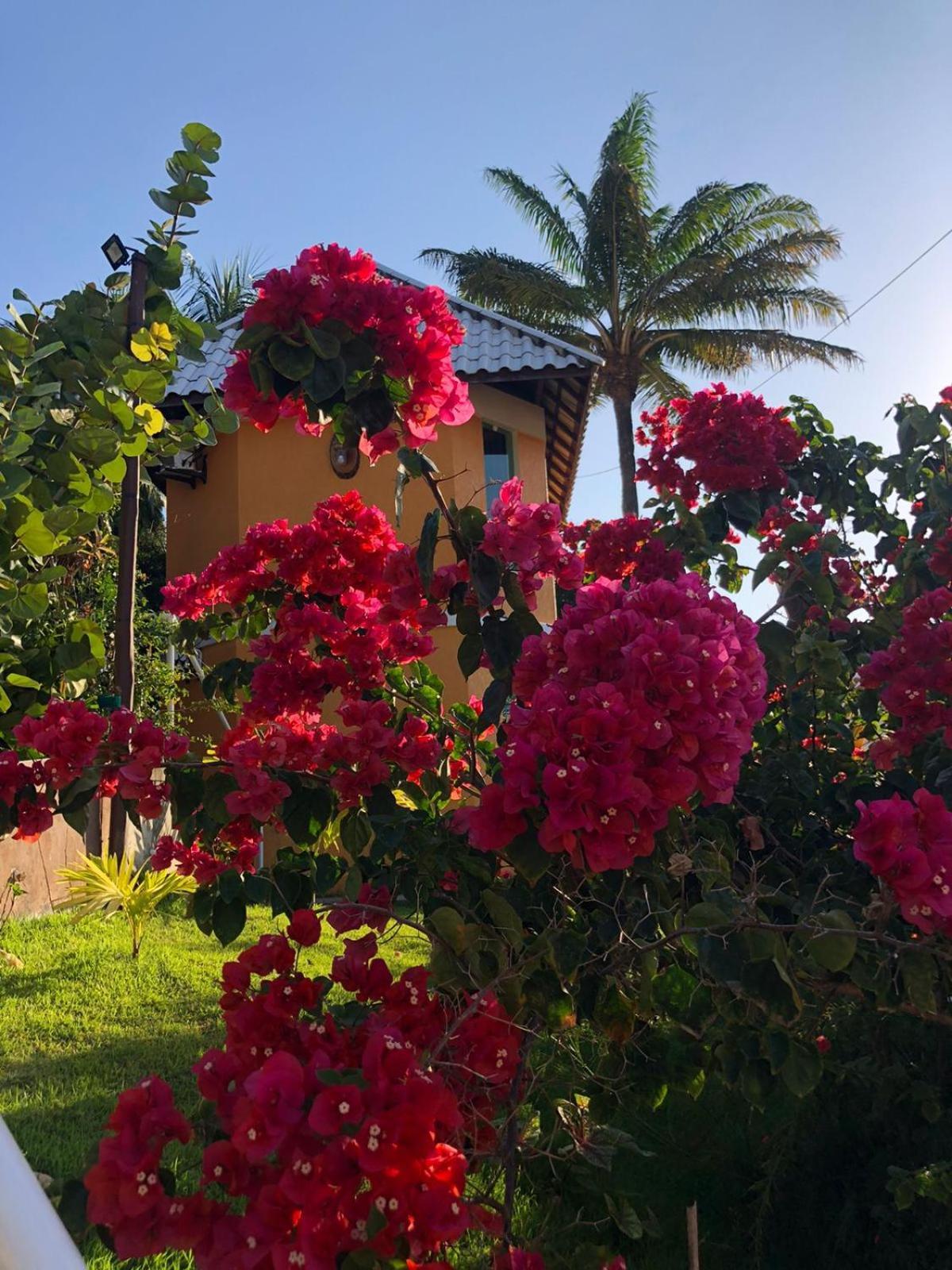 Hotel Morro de São Paulo Dış mekan fotoğraf